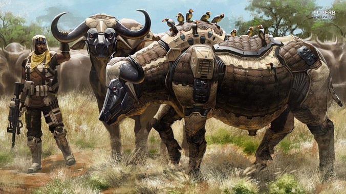 有哪些观赏鱼是迄今为止确定最容易养最不容易死的？